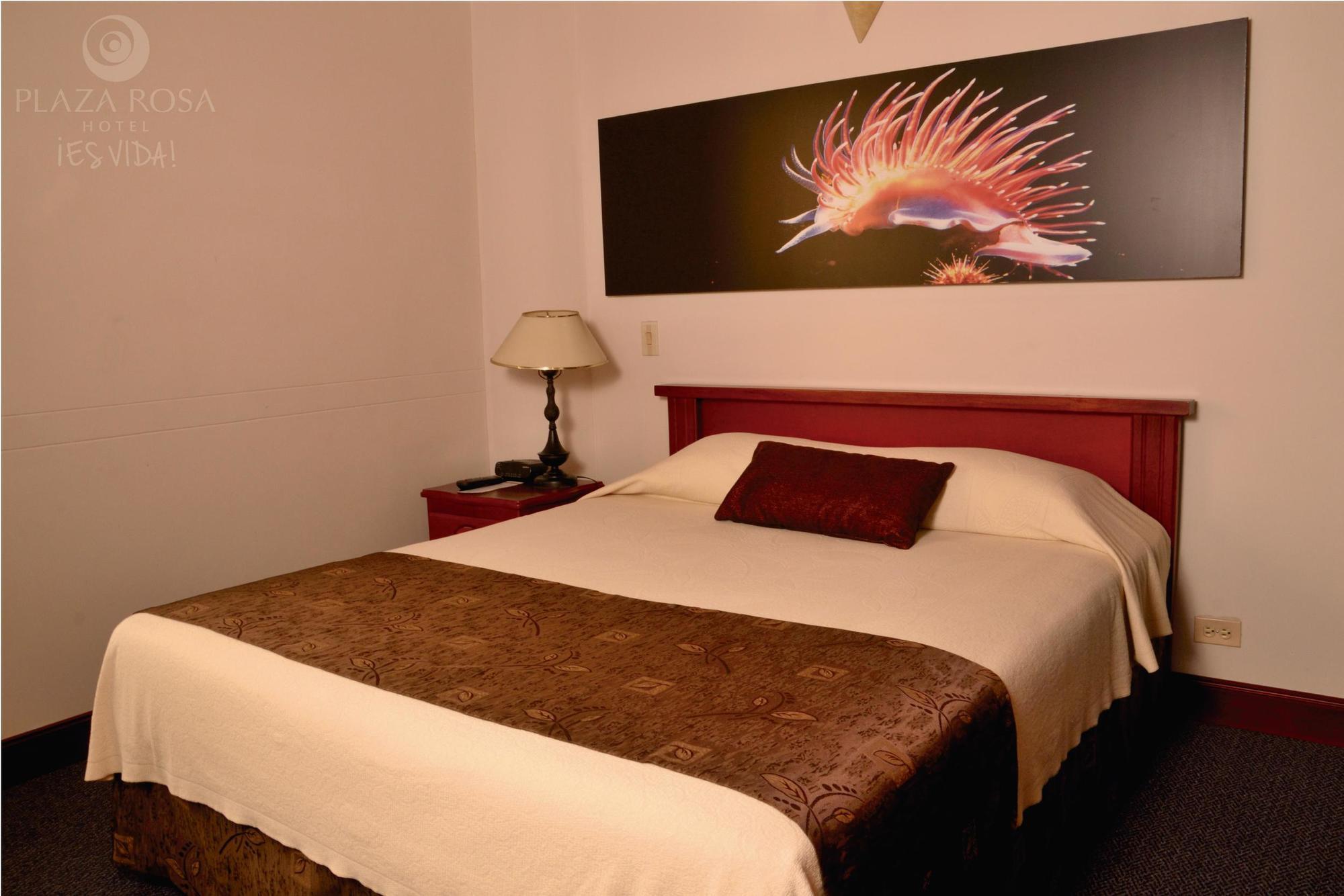 Hotel Plaza Rosa Medellín Exterior foto